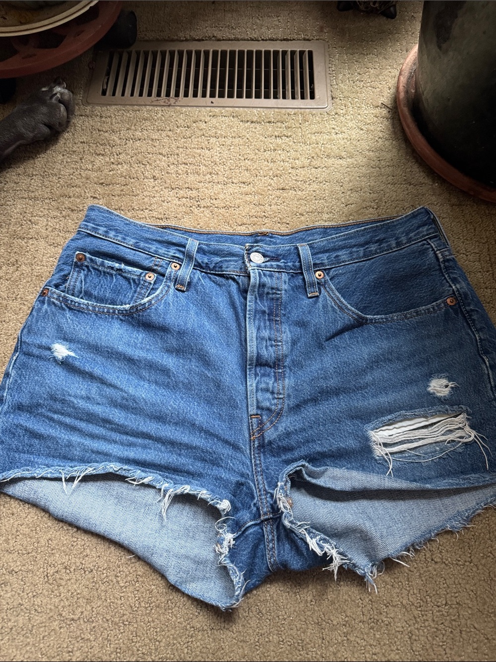 Levi's Blue Distressed Cutoff Jean Shorts